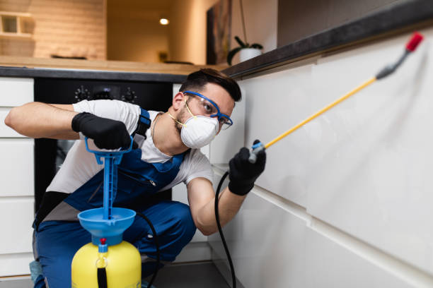 Best Cockroach Control Services  in Hinesville, GA