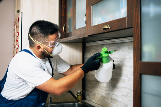Best Mosquito Control Services  in Hinesville, GA