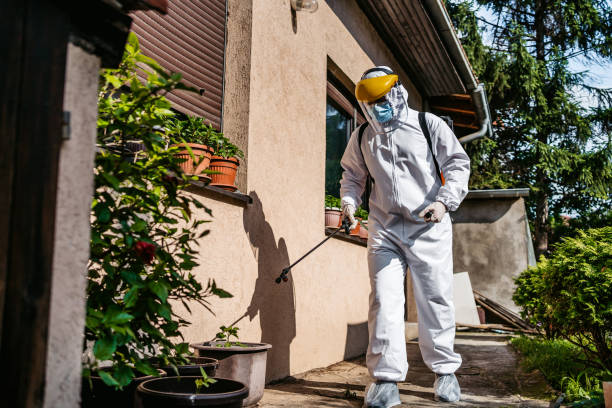 Best Pest Control Near Me  in Hinesville, GA