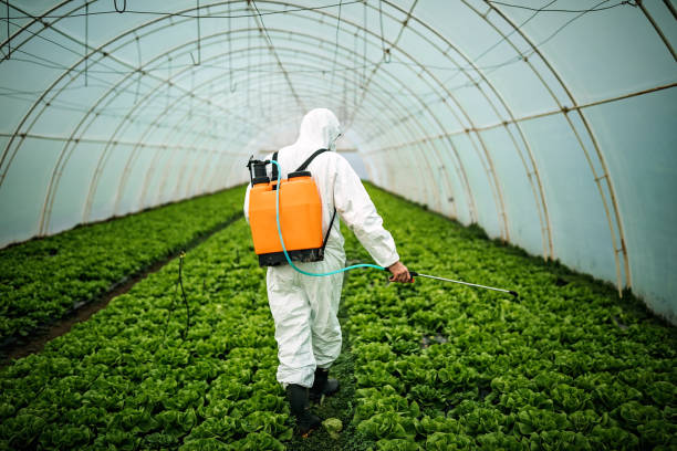 Best Commercial Pest Control Services  in Hinesville, GA