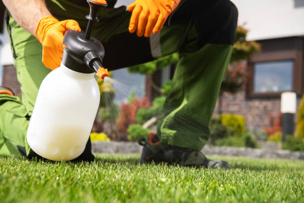 Best Rat Extermination Near Me  in Hinesville, GA
