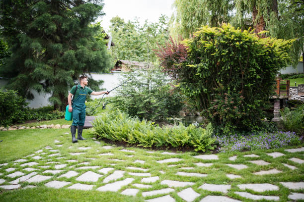 Best Pest Control Treatment  in Hinesville, GA