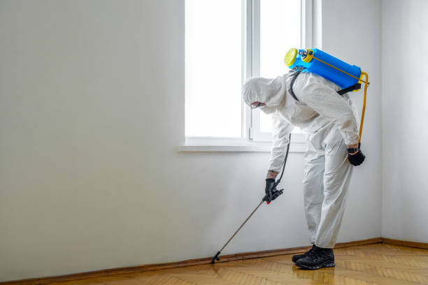 Best Best Pest Control Companies  in Hinesville, GA