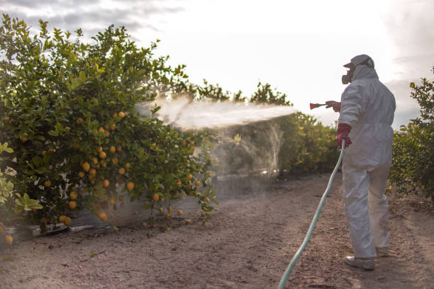 Best Pest Prevention Services  in Hinesville, GA