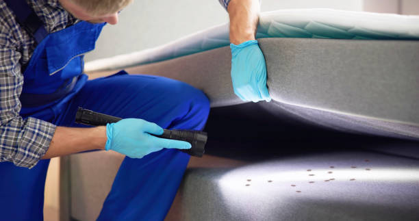 Best Pest Removal Services  in Hinesville, GA