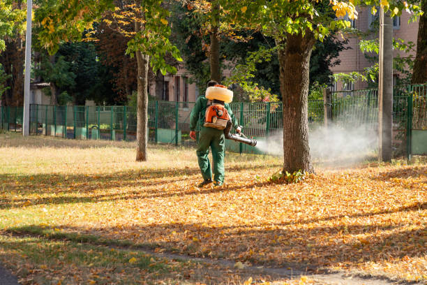 Best Best Pest Control Near Me  in Hinesville, GA
