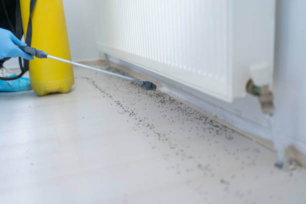 Best Affordable Pest Control Services  in Hinesville, GA