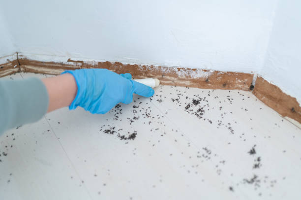 Pest Control for Restaurants in Hinesville, GA