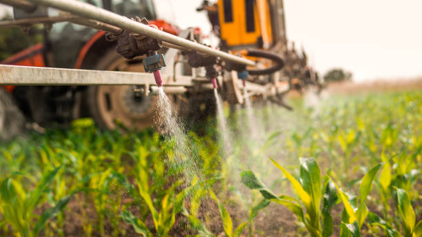 Reliable Hinesville, GA Pest Control Solutions